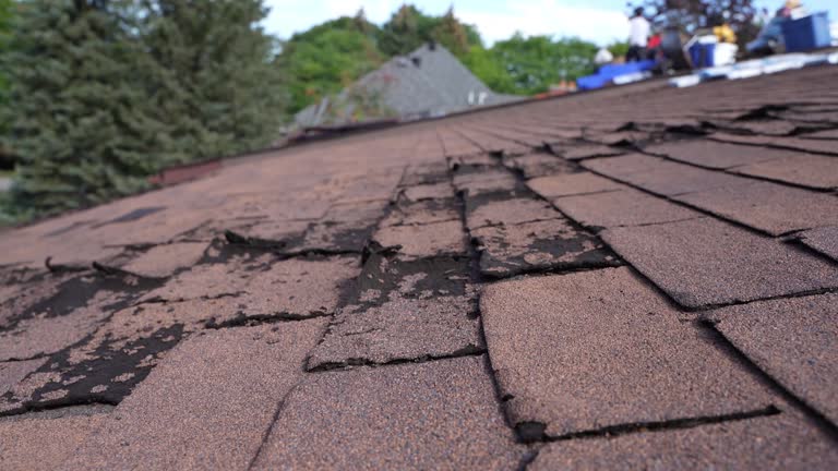 Best Emergency Roof Repair Services  in Neoga, IL