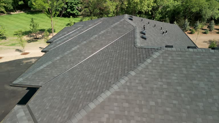 Best Roof Ventilation Installation  in Neoga, IL