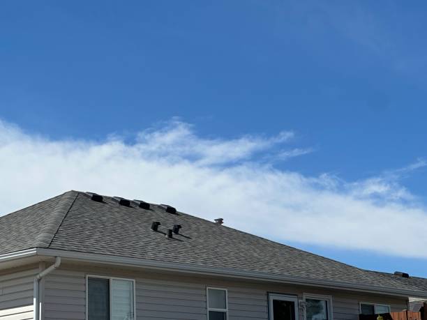 Best Metal Roofing Installation  in Neoga, IL